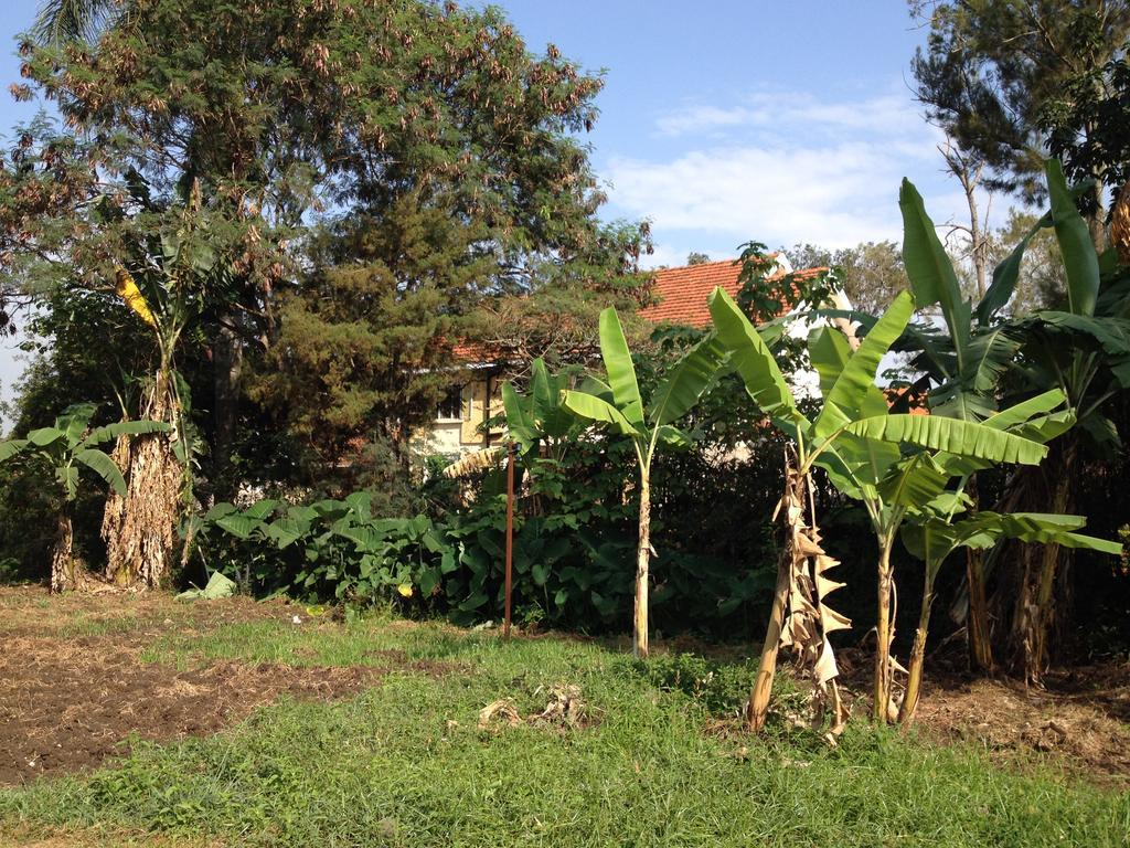 Bikeventures House Uganda Hotell Jinja Eksteriør bilde